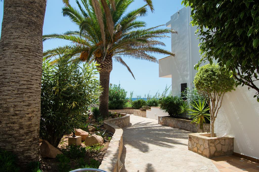 Sol Y Mar Hotell Playa Migjorn Rom bilde